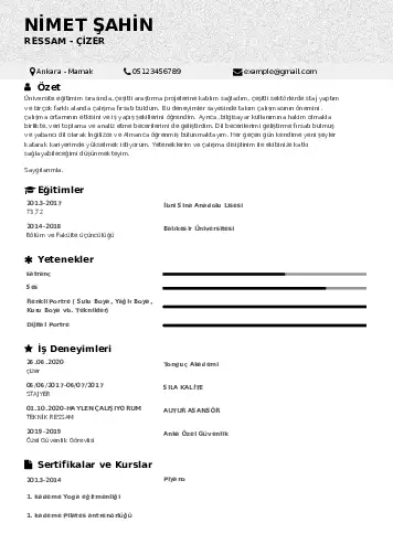 Ressam Cv Örnekleri cv indir